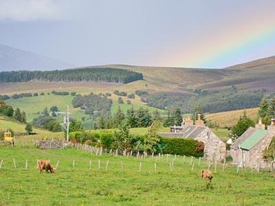 Honey Cottage Auchnarrow Екстериор снимка